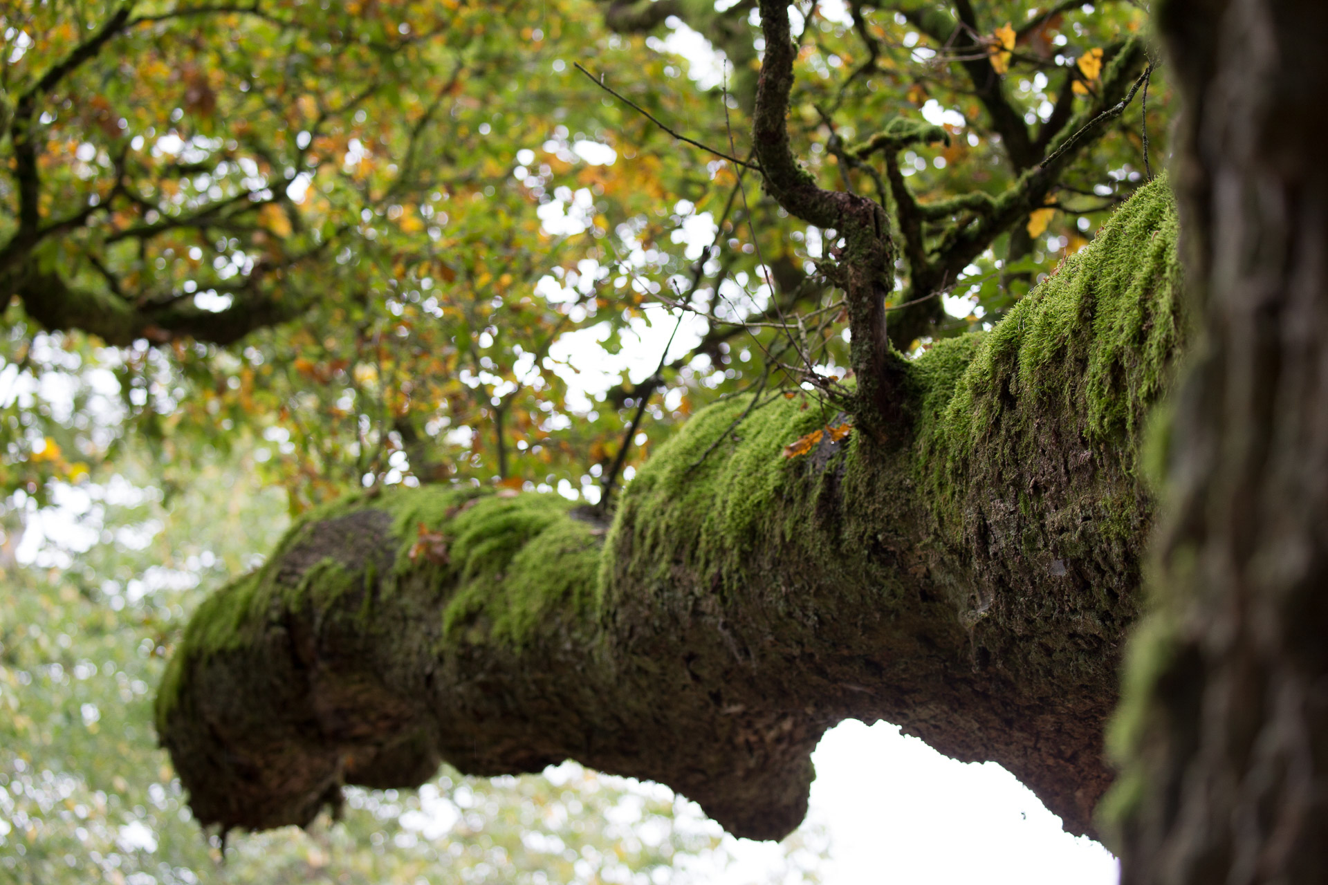 20231014100727 3K6A2228